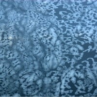 Water Pollution