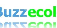 Ravalement de facade pour Buzzecolo