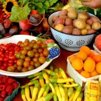 les différents types d’écologie
