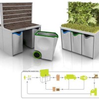 Des plantes au bureau pour valoriser les déchets !?