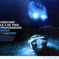 Le Greenwashing en quelques mots et en images !?