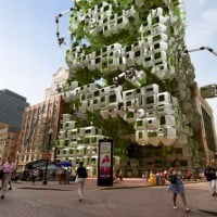 Un projet fou pour développer les Biocarburants !?
