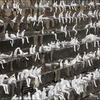 Sensibilisation de la WWF au réchauffement climatique (Berlin)
