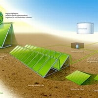 Biotechnologie + CO2 + Lumiere = Carburant ? …