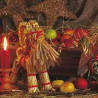 Les fruits et légumes de Décembre
