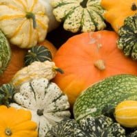 Les fruits et legumes du mois de Fevrier …