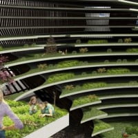 Un concept de construction écologique : La ferme à la ville …