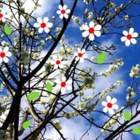 Les fruits et legumes du mois de Mars …