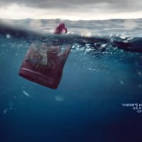Une campagne écologique pour la protection du littoral …
