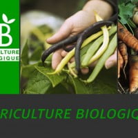 Dossier – L’Agriculture Bio en quelques mots …