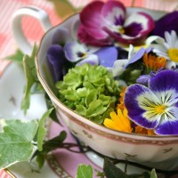 Les fruits et legumes du mois d’Avril