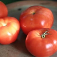 Les fruits et legumes du mois de Mai …