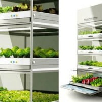 Le mini-potager d’intérieur made in Hyundai …