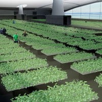 Un concept de plateforme offshore agricole auto-sufisante …