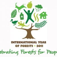 2011 : Année internationale des forêts !