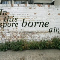 Le Green graffiti, un art écologique pour verdir les murs des villes …