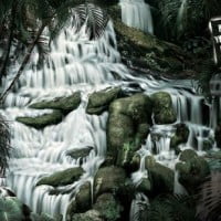 Le Rapport Planète Vivante 2010 : L’homme consomme trop de planète !