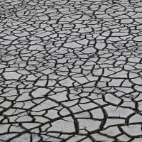 De Nagoya… à Cancun : de la biodiversité au climat