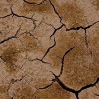 El Niña, le retour d’un oiseau de mauvais augure !