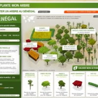 Reforestation : Planter un arbre ou l’offrir pour lutter contre la déforestation …