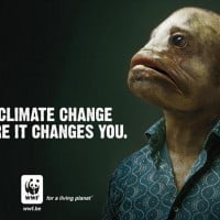 Actions locales et réchauffement climatique …