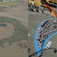 L’art écologique en 2010 …
