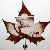 Des œuvres d’art écologique à partir de simples feuilles