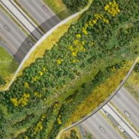 Le pont écologique pour animaux …