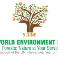 Journée mondiale de l’environnement 2011 !