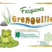 Fréquence Grenouille: Opération pour la préservation des zones humides