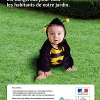 Apprenons à nous passer des pesticides !
