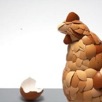 What came first … L’oeuf ou la Poule ?