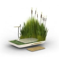 La phyto-purification pour une douche écologique