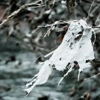 La fin du sac plastique en Europe ?