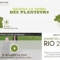 Rejoignez la Tribu des Planteurs pour lutter contre la déforestation !