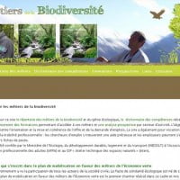 A la recherche d’un job vert ?