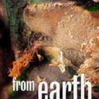 Un voyage autour … de la terre