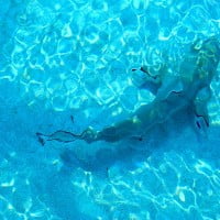 Le requin, entre mythe et réalité