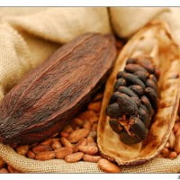 Du chocolat, oui mais équitable