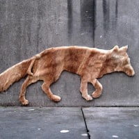 Neozoom, l’art pour la défense des animaux