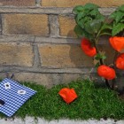Le guerrilla gardening version miniature