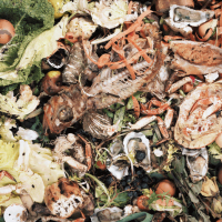 Pourri, une autre vision du compostage