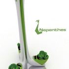 Nepenthes, le compost version plante carnivore