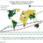 Les cultures OGM progressent de 8% en 2011