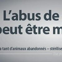 DSK futur ambassadeur de PETA ?