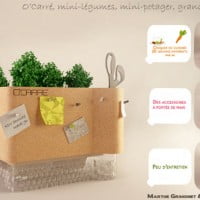 O’carré, le mini potager pour la cuisine