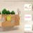 O’carré, le mini potager pour la cuisine