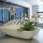 Fluidity Concept, une jardinière pour égoutter la vaisselle