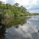 Cuyabeno – Un exemple pour l’avenir de l’Amazonie