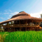 La Green School, une école de rêve à Bali